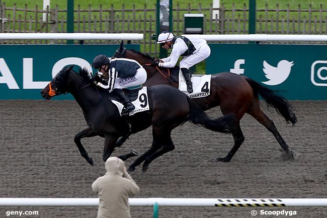 12/10/2024 - Chantilly - Prix de l'Ysieux : Arrivée