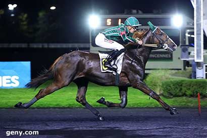 25/10/2024 - Vincennes - Prix Hervé Ceran-Maillard : Arrivée