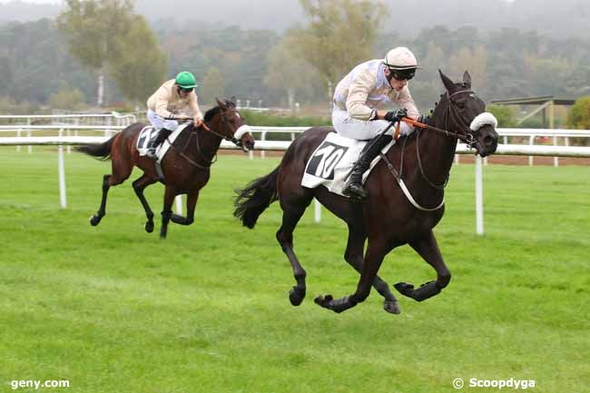 28/10/2024 - Fontainebleau - Prix Patrice Quenedey : Arrivée