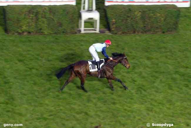 16/11/2008 - Auteuil - Prix Bison Fute : Arrivée
