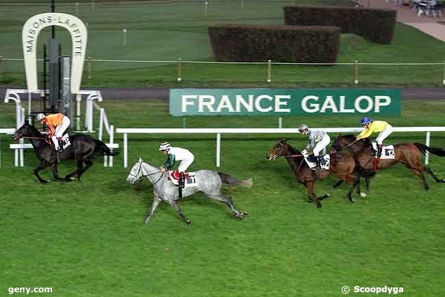 07/11/2011 - Maisons-Laffitte - Prix du Gazon : Arrivée