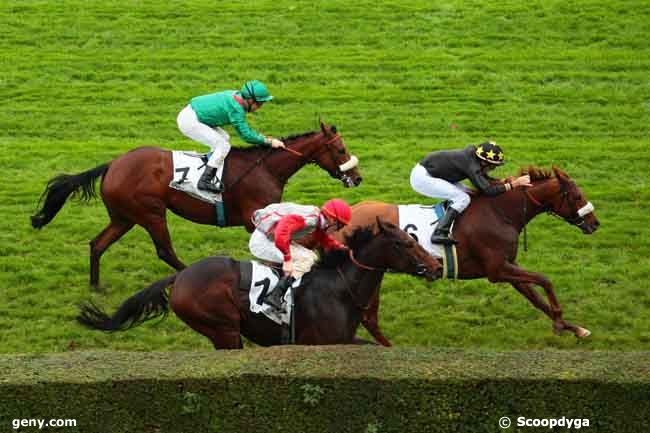 01/11/2013 - Saint-Cloud - Prix Dicta Drake : Ankunft