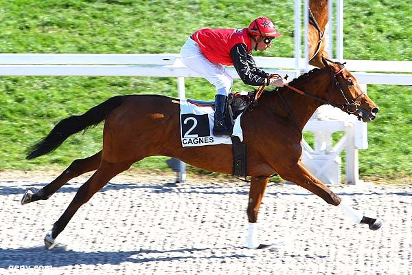 12/02/2014 - Cagnes-sur-Mer - Prix des Bourraches : Arrivée