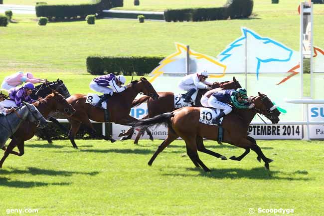 10/09/2014 - Le Lion-d'Angers - Handicap du Lion d'Angers - Prix de l'Asselco : Ankunft