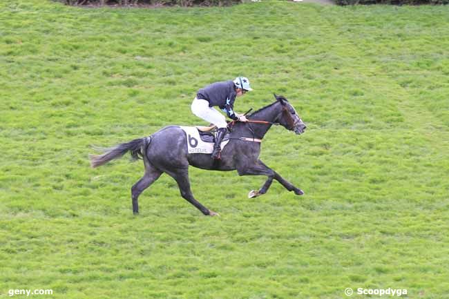 13/04/2016 - Auteuil - Prix The Coyote : Result