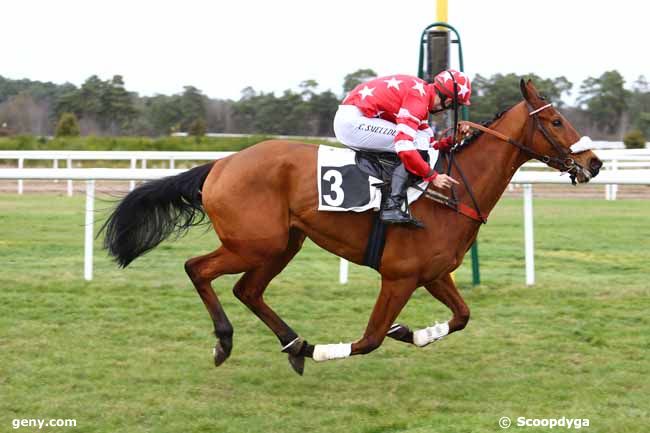 03/03/2017 - Fontainebleau - Prix Oiseleur : Arrivée