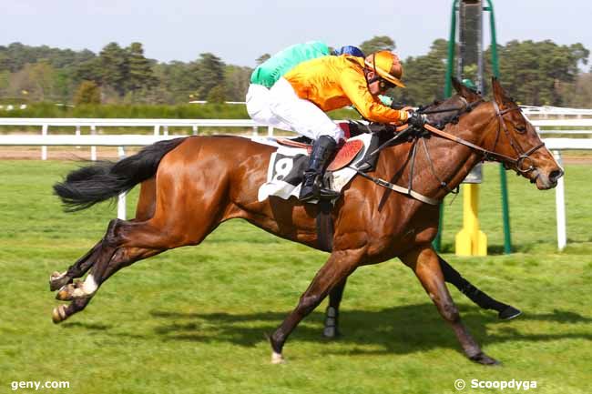 14/04/2017 - Fontainebleau - Prix Quazvin II : Arrivée