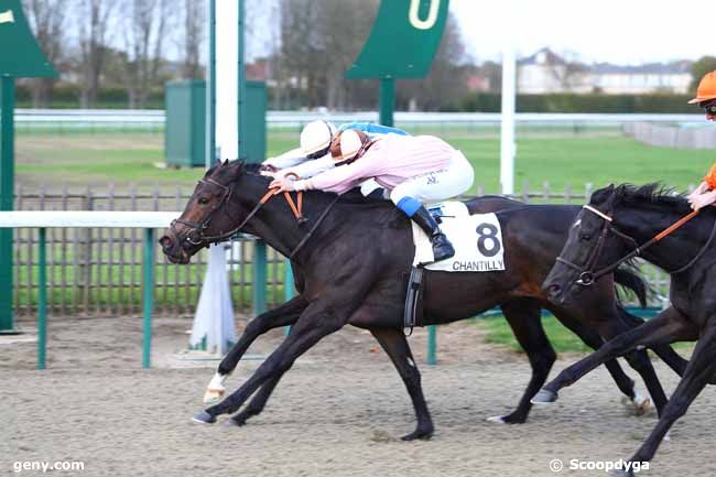 30/10/2017 - Chantilly - Prix du Puits : Arrivée