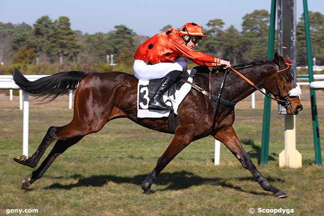 27/02/2019 - Fontainebleau - Prix Jacques Géliot : Arrivée