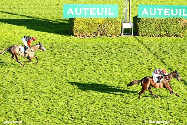 16/03/2019 - Auteuil - Prix Didier Mescam : Arrivée