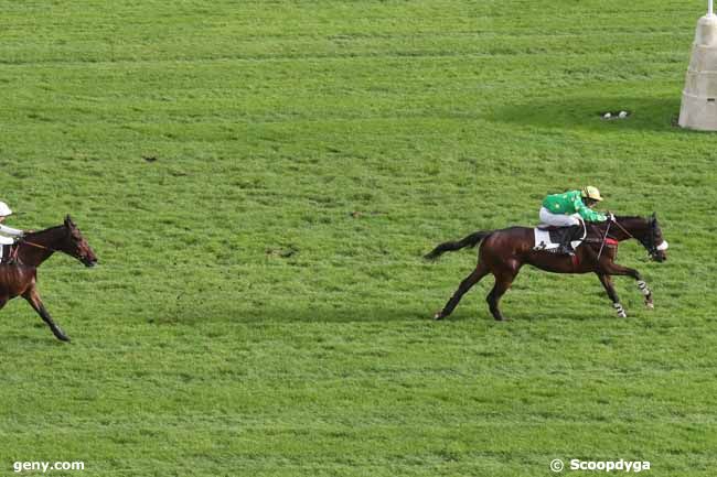 03/11/2023 - Auteuil - Prix Triquerville : Arrivée