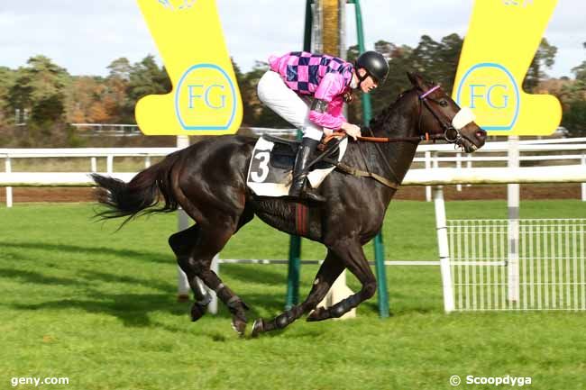 15/11/2023 - Fontainebleau - Prix Colonel Bernard Marlin : Arrivée