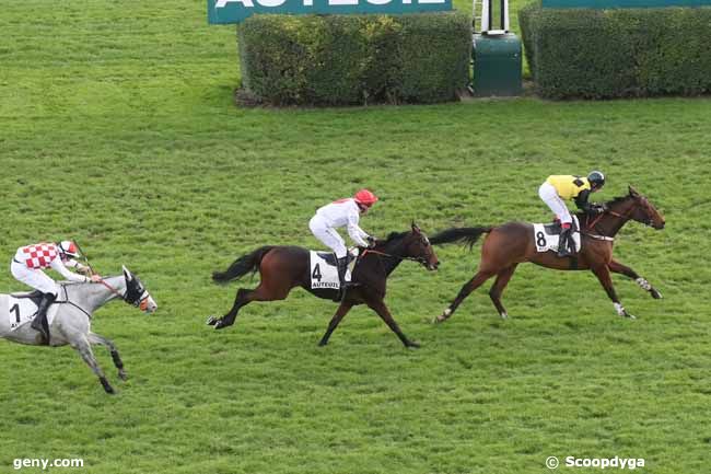 26/11/2023 - Auteuil - Prix Le Pontet : Arrivée