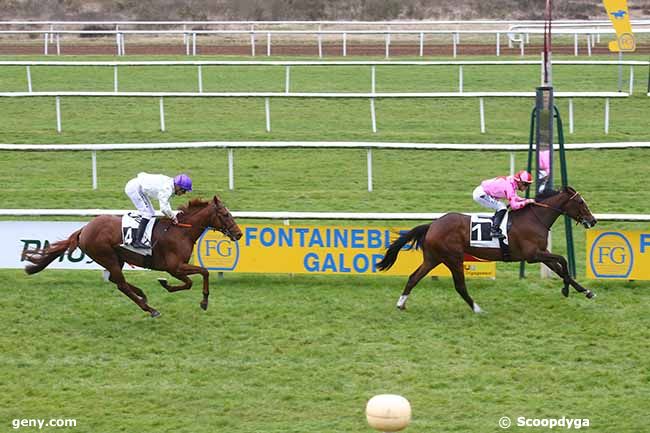 15/03/2024 - Fontainebleau - Prix de Samois-sur-Seine : Arrivée