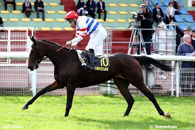 11/10/2024 - Compiègne - Prix de Jonquières : Arrivée