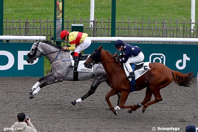 12/10/2024 - Chantilly - Prix du Ru du Pontcel : Arrivée