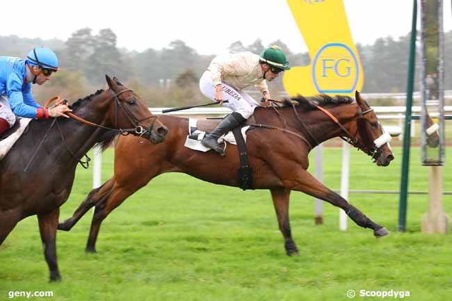 28/10/2024 - Fontainebleau - Prix Comte Antoine de Gontaut-Biron : Arrivée