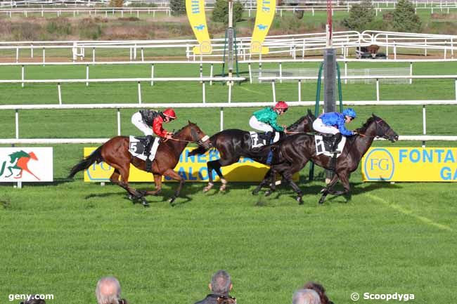 04/11/2024 - Fontainebleau - Prix des Frênes : Arrivée