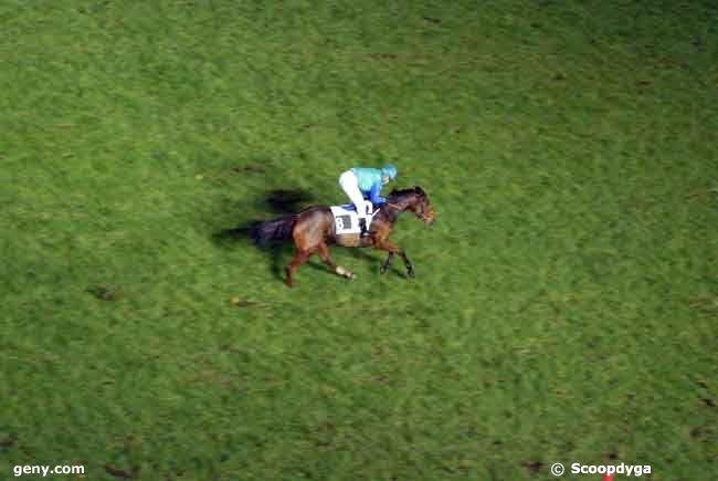 16/11/2008 - Auteuil - Prix Basque : Arrivée