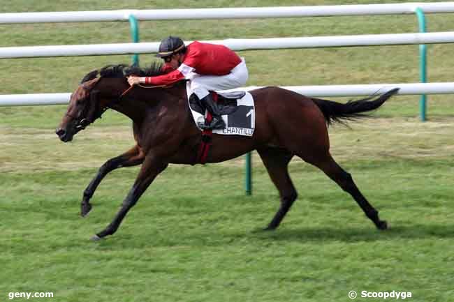 27/07/2009 - Chantilly - Prix de l'Institut de France : Result