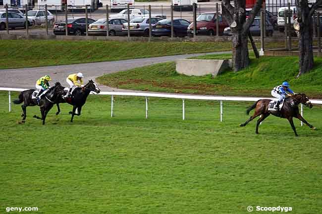 13/11/2009 - Maisons-Laffitte - Prix Diatome : Ankunft