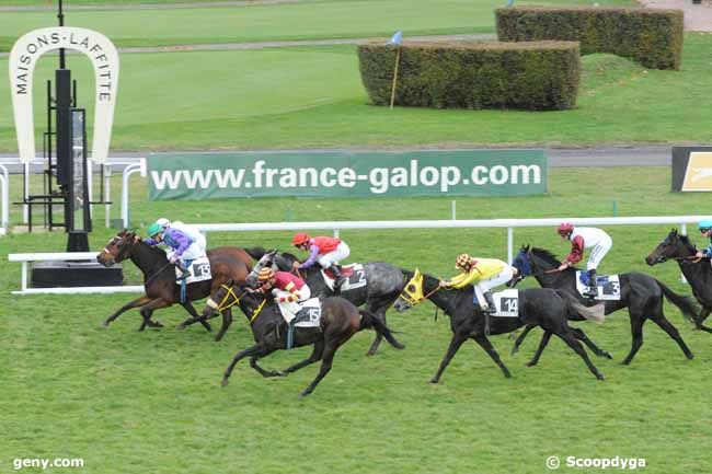 12/11/2010 - Maisons-Laffitte - Prix de Saint-Jean de la Castelle : Arrivée