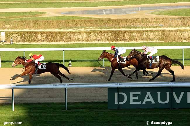 27/12/2011 - Deauville - Prix du Haut Gué : Arrivée