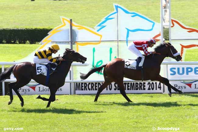 10/09/2014 - Le Lion-d'Angers - Prix de Châteauneuf-sur-Sarthe : Result