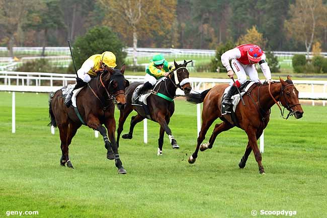 16/11/2015 - Fontainebleau - Prix de la Table du Roi : Result