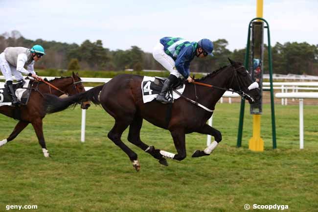 03/03/2017 - Fontainebleau - Prix Colonel Jean de Royer : Arrivée