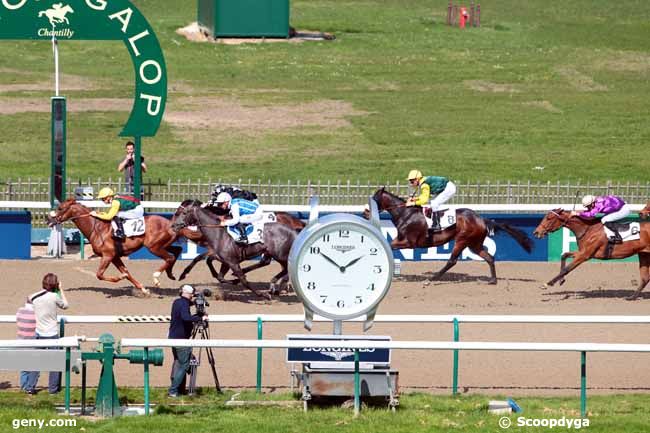 03/04/2017 - Chantilly - Prix Chantilly Capitale du Cheval : Result