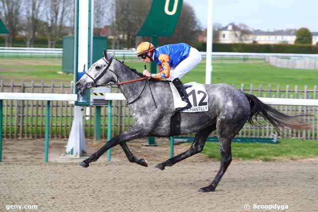 30/10/2017 - Chantilly - Prix d'Anserville : Ankunft