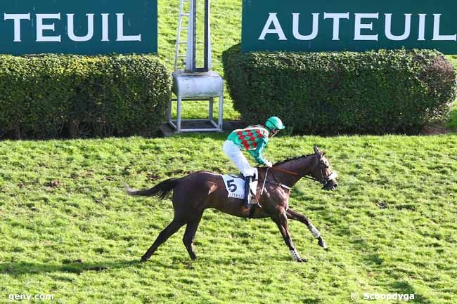 30/11/2018 - Auteuil - Prix le Pontet : Ankunft