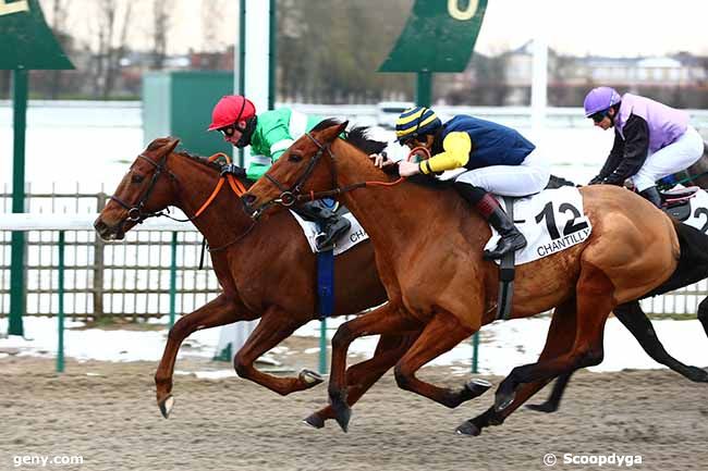 31/01/2019 - Chantilly - Prix de Noisy-sur-Oise : Arrivée