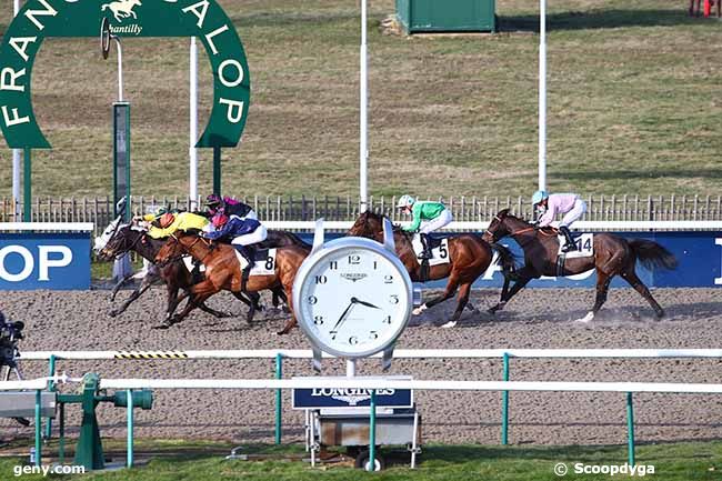 13/02/2021 - Chantilly - Prix de Nointel : Arrivée