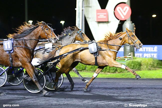 05/11/2021 - Vincennes - Prix Draco : Arrivée