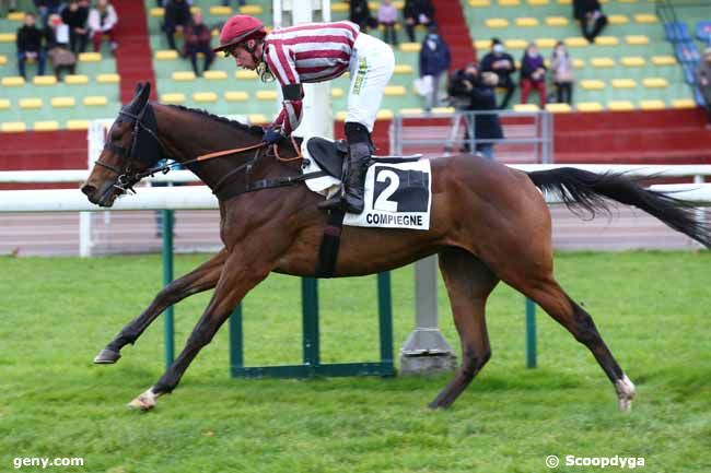 13/11/2021 - Compiègne - Prix Daniel Merle : Arrivée