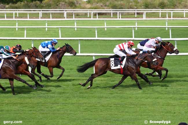 14/09/2023 - Fontainebleau - Prix Guy Thibault : Arrivée