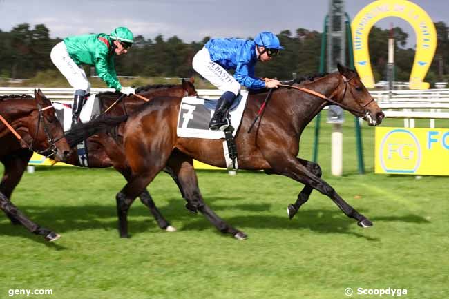 14/10/2023 - Fontainebleau - Prix des Myosotis : Arrivée