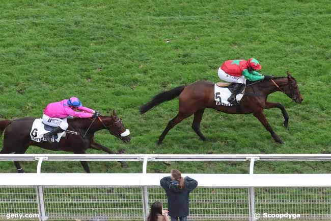 03/11/2023 - Auteuil - Prix Pré Catelan : Arrivée