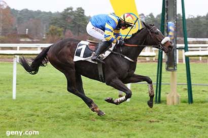 05/12/2023 - Fontainebleau - Prix du Fer à Cheval : Arrivée