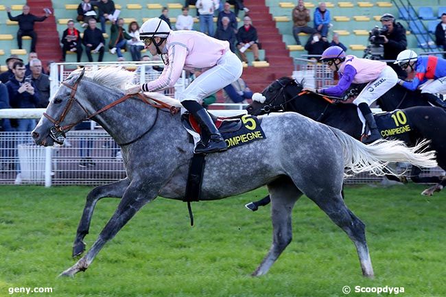 11/10/2024 - Compiègne - Prix Carrefour du Francport : Arrivée