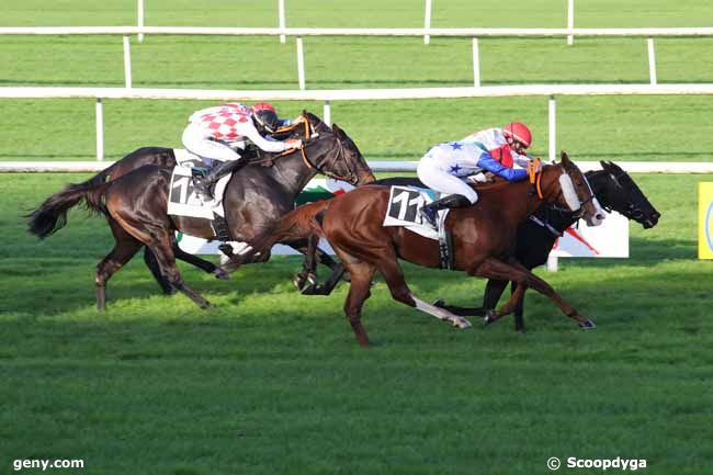 04/11/2024 - Fontainebleau - Prix Guy Thibault : Arrivée