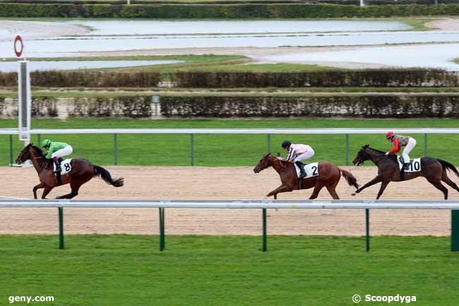 20/12/2012 - Deauville - Prix Habitat : Arrivée