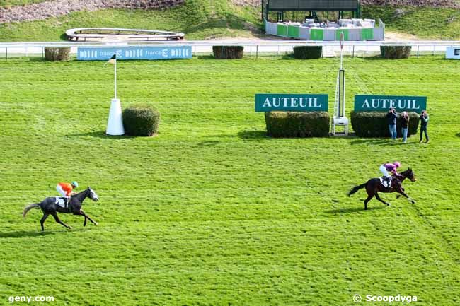 02/03/2014 - Auteuil - Prix Rohan : Result