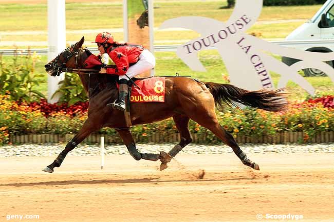 09/09/2014 - Toulouse - Prix du Journal GENYcourses : Result