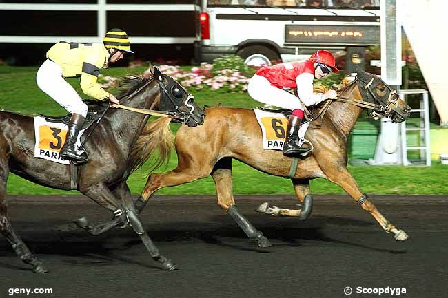 01/09/2015 - Vincennes - Prix Abulfeda : Ankunft