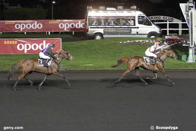 31/01/2016 - Vincennes - Prix Tidalium Pélo : Arrivée