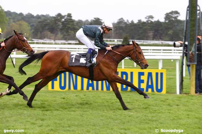 22/04/2016 - Fontainebleau - Prix de la Plaine des Sablons : Result