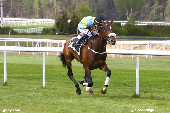 14/04/2017 - Fontainebleau - Prix du Mont Chauvet : Result